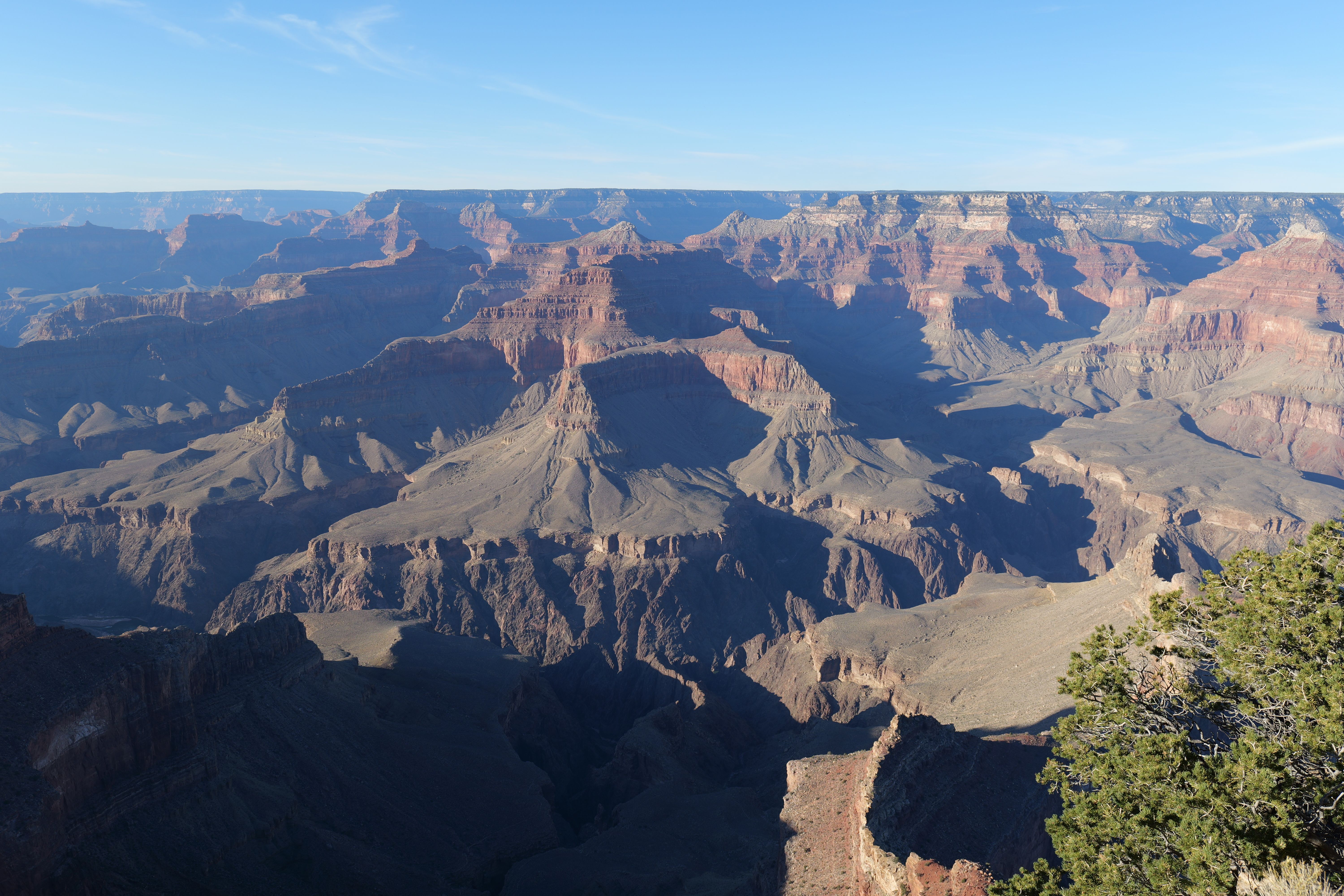 The Grand Canyon South Rim in warm afternoon light