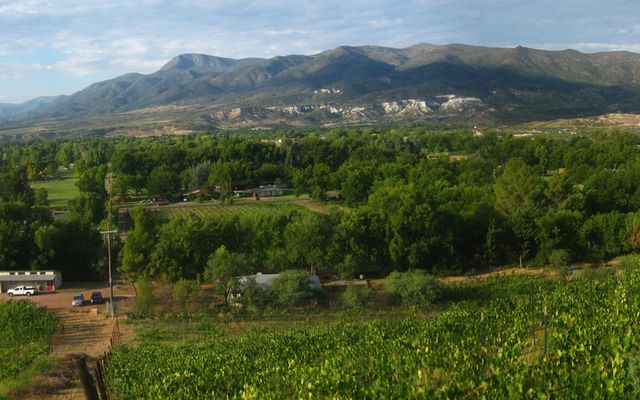 A vineyard and farms in the green Verde Valley