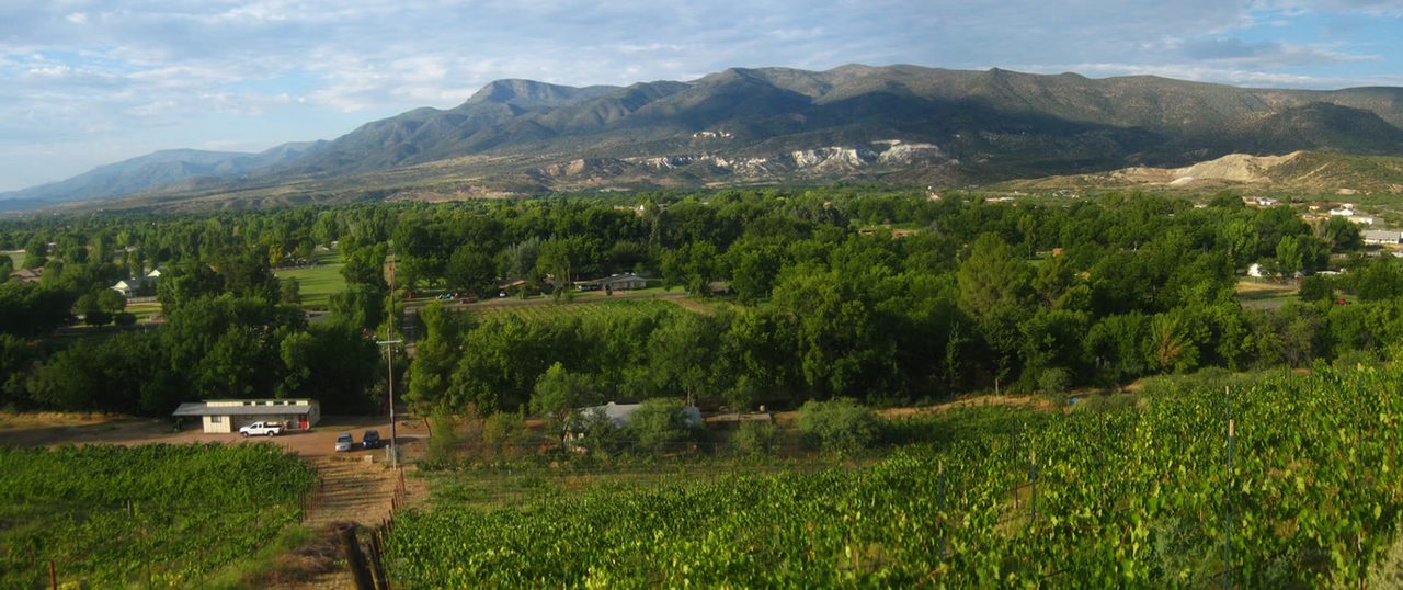 A vineyard and farms in the green Verde Valley